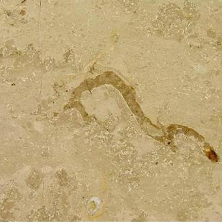 Natursteine - Jura Gelb Natursteine - Jura Gelb