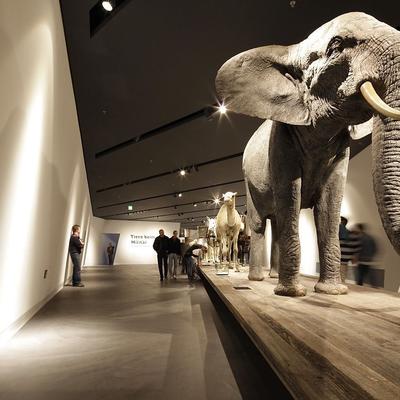Bodenbeschichtung im Militärhistorischem Museum Dresden